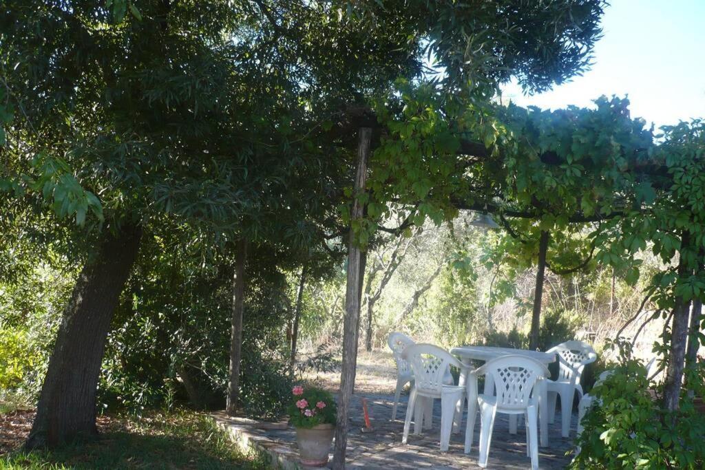 Casa Rural La Vega Cazalla de la Sierra Exterior photo